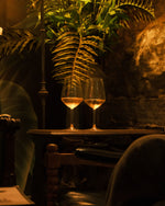 2025 Orange Wine